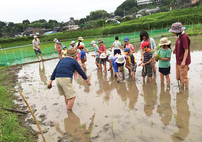 鹿児島のシュタイナー学校|NPO法人 どんぐり自然学校