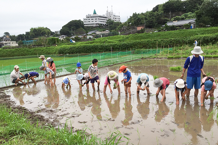 鹿児島のシュタイナー学校|NPO法人 どんぐり自然学校