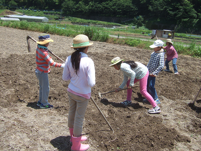 鹿児島のシュタイナー学校|NPO法人 どんぐり自然学校
