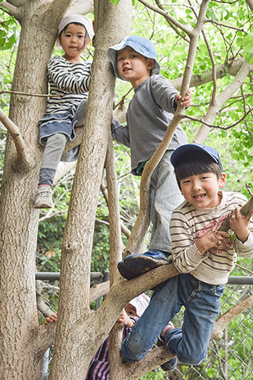鹿児島のシュタイナー学校|NPO法人 どんぐり自然学校