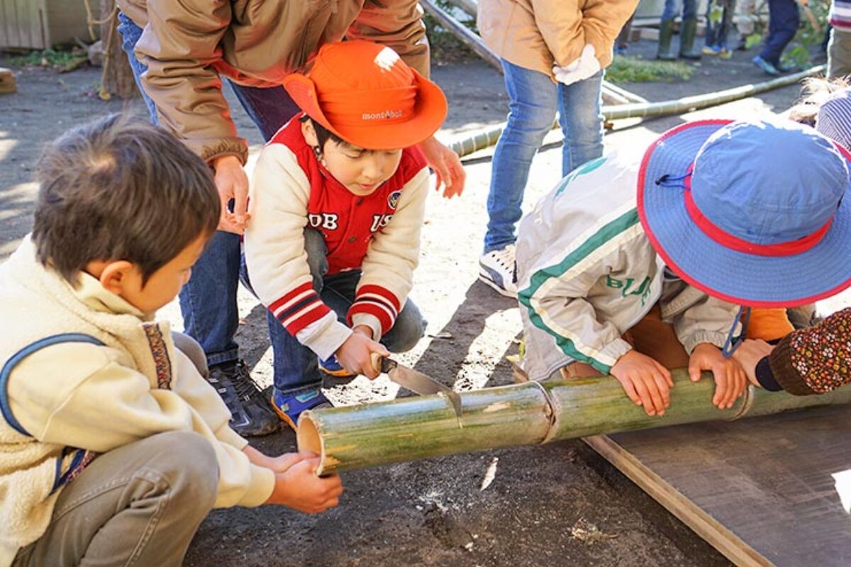 卒園児の親が語る「どんぐりで育った息子のその後」