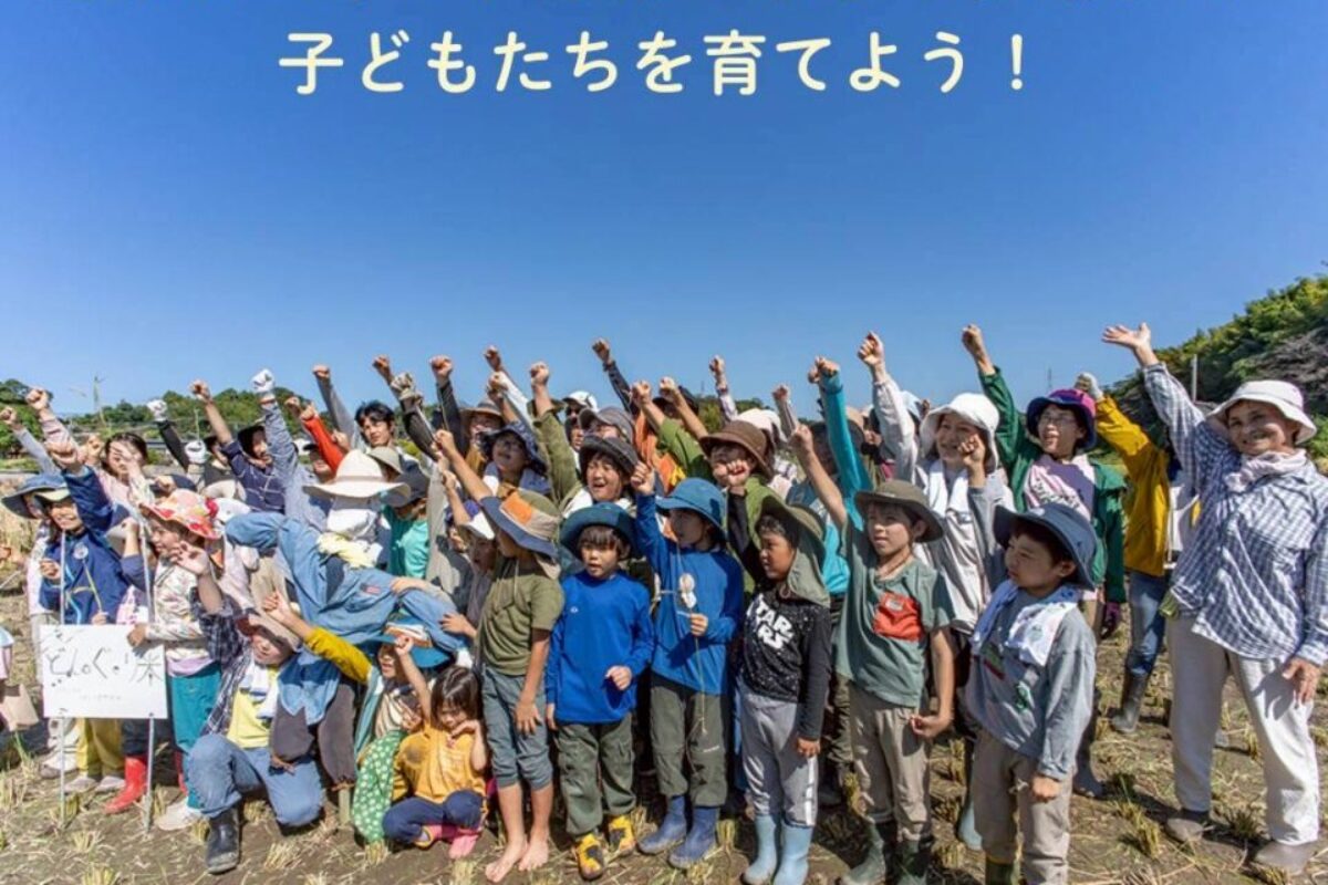 親子稲刈り