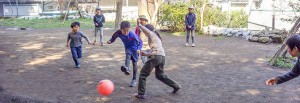 鹿児島のシュタイナー学校｜NPO法人 どんぐり自然学校
