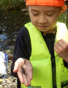 鹿児島のシュタイナー学校・どんぐり自然学校