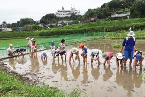 鹿児島のシュタイナー学校｜NPO法人 どんぐり自然学校