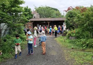 鹿児島のシュタイナー学校｜NPO法人 どんぐり自然学校