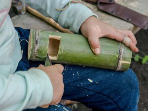 鹿児島のシュタイナー学校｜NPO法人 どんぐり自然学校