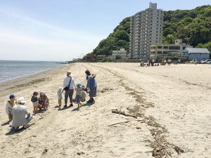 鹿児島のシュタイナー学校｜NPO法人 どんぐり自然学校