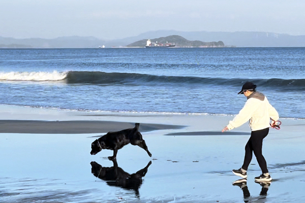 ルル/黒ラブ/ラブラドール/dog/木の家/新越建設/新築/鹿屋市/志布志/大隅