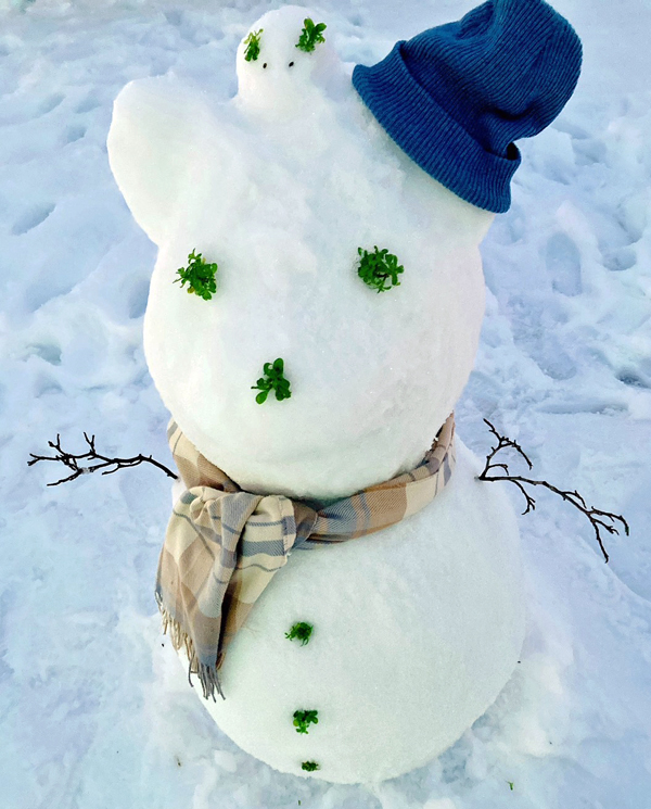 雪だるま/雪/新越建設/木の家/鹿屋/志布志/大隅