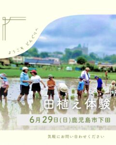 6/29（日）田植え体験｜どんぐり自然学校