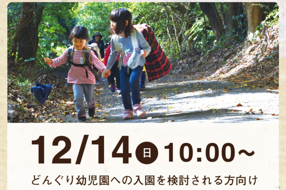 12月14日（日）10:00〜 どんぐり幼児園　入園説明会