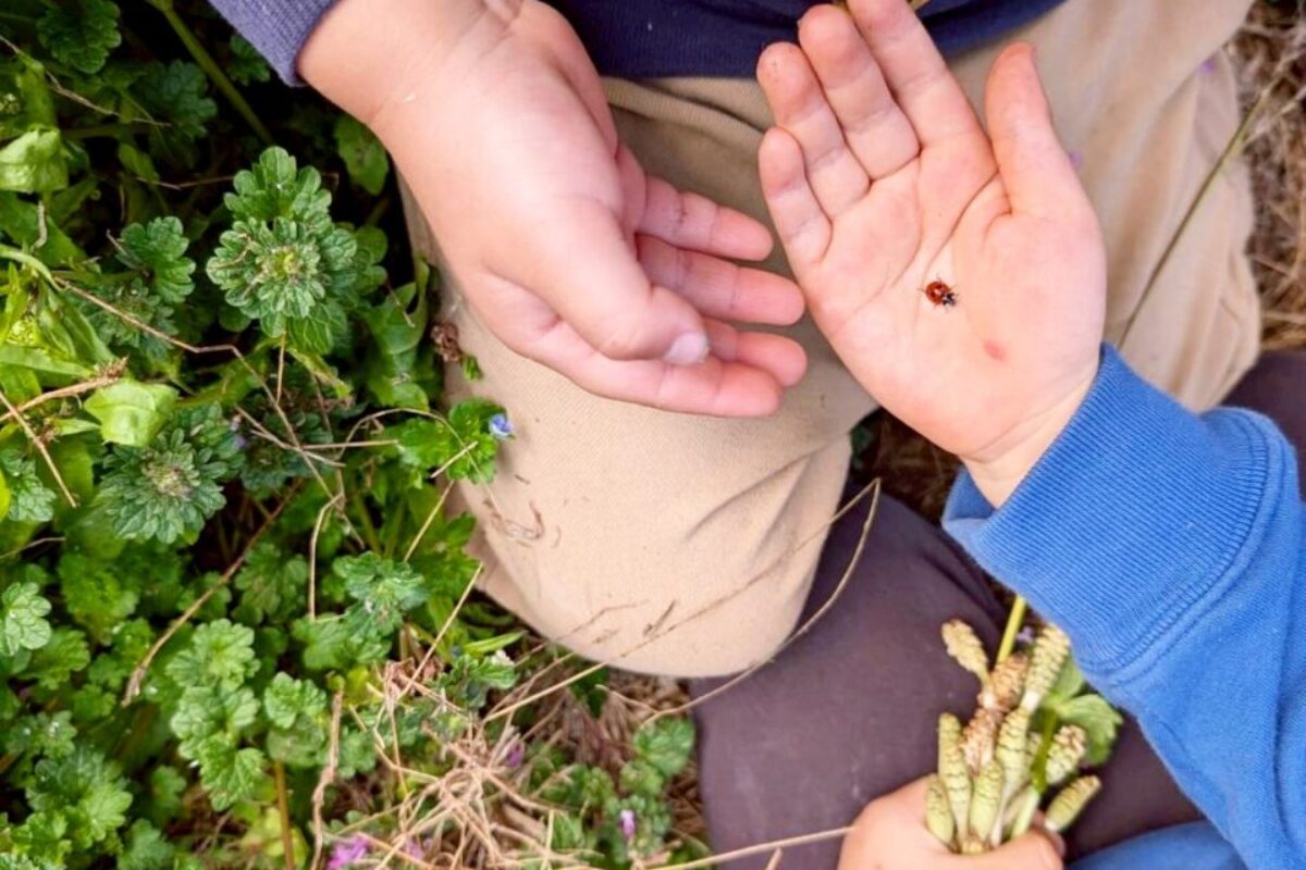 春の小さな発見① 探検の時間