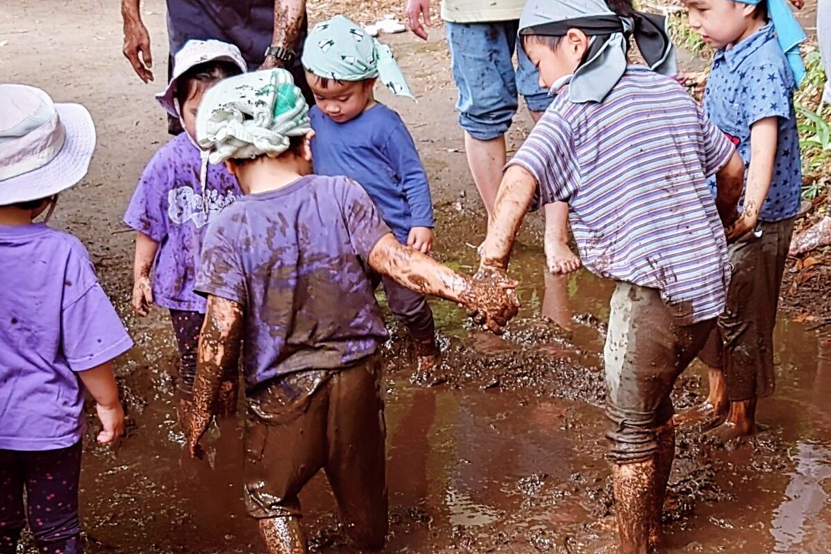 前日夜からの大雨だったため、場所を田んぼからどんぐり幼児園に移し、泥んこ遊びを行いま…