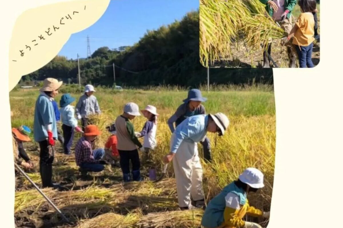 10/18（日）親子で稲刈りイベントのお知らせ