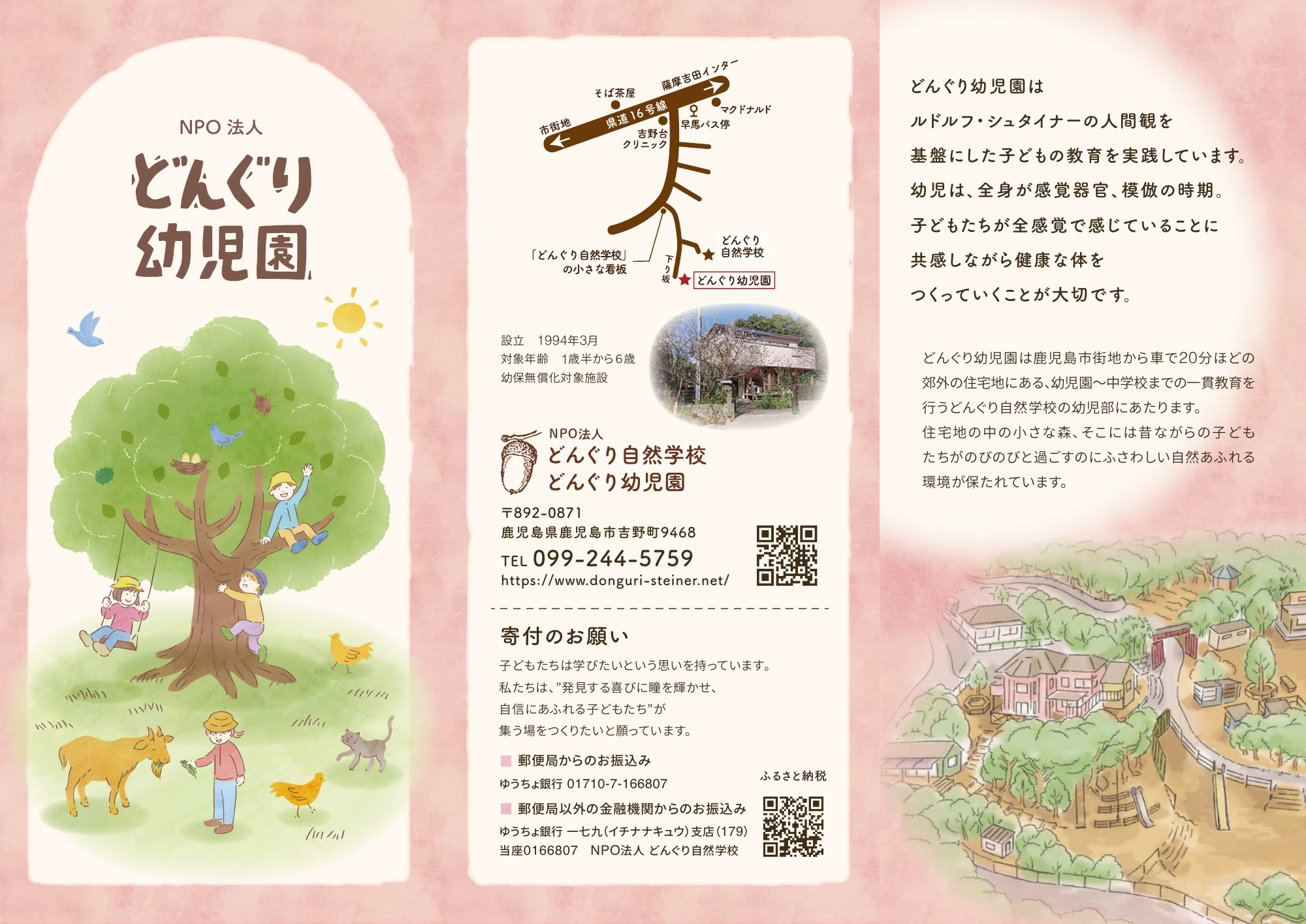 どんぐり幼児園パンフレット 表面