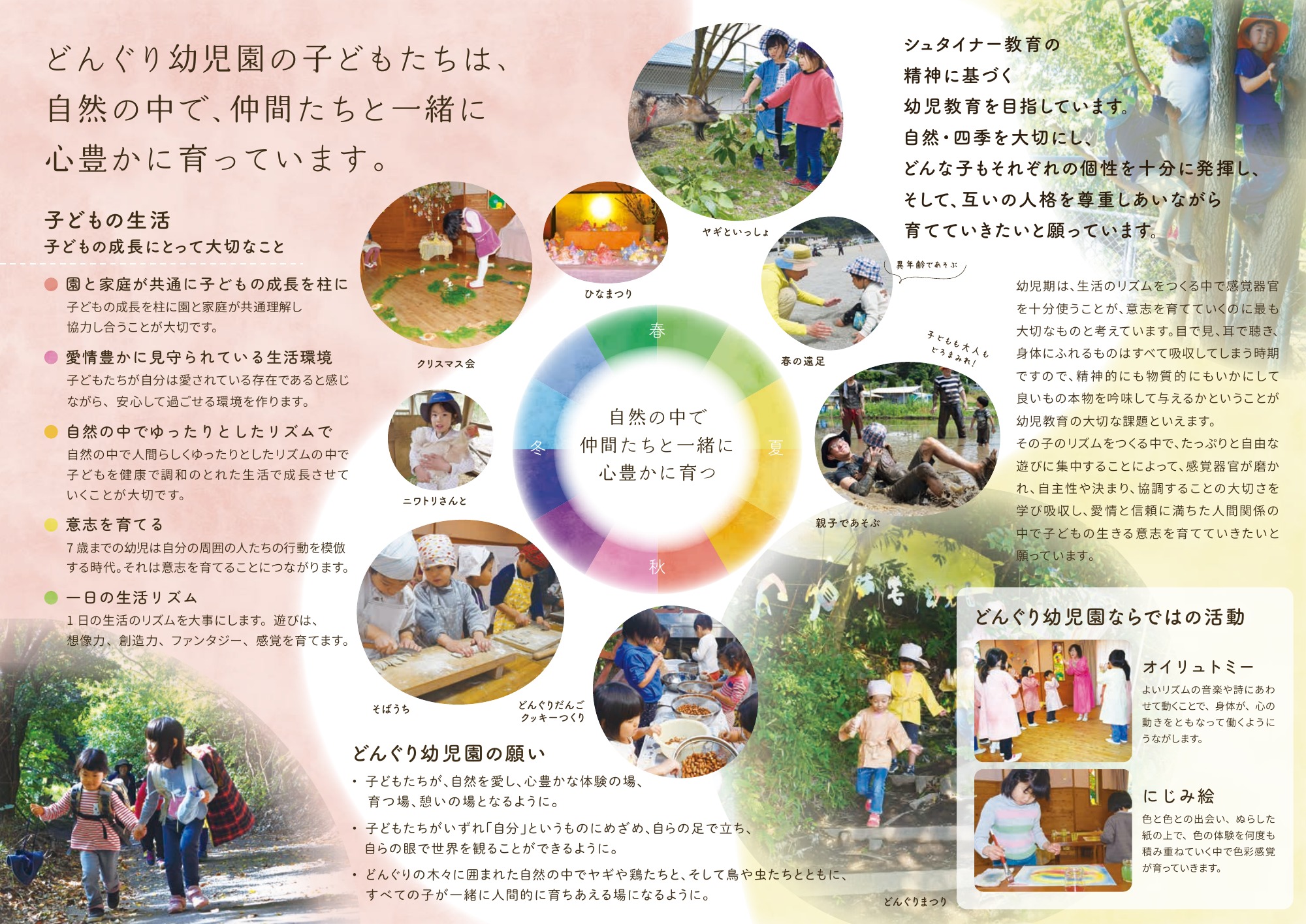 どんぐり幼児園パンフレット 裏面